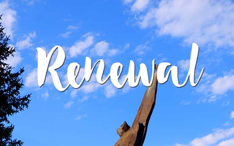 Renewal