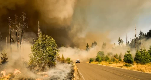 Help Families Today with Critical Relief