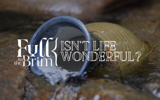 Lent 2025: Isn’t Life Wonderful?