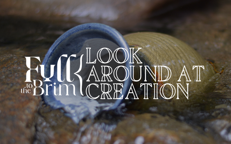 Lent 2025: Look Around at Creation