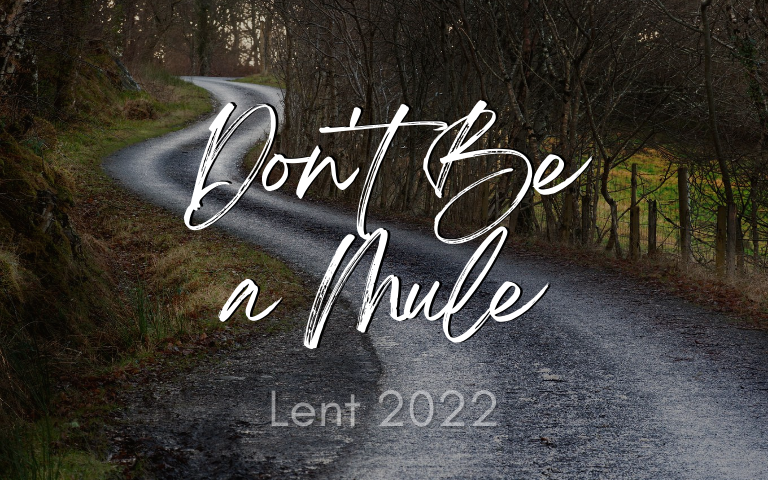 Lent 2022: Don’t Be a Mule
