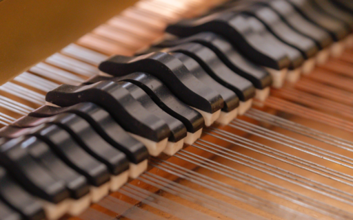 Faith Stories: Howling with Angels