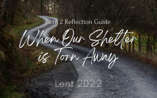 Lent 2022: Lent 2 Reflection Guide