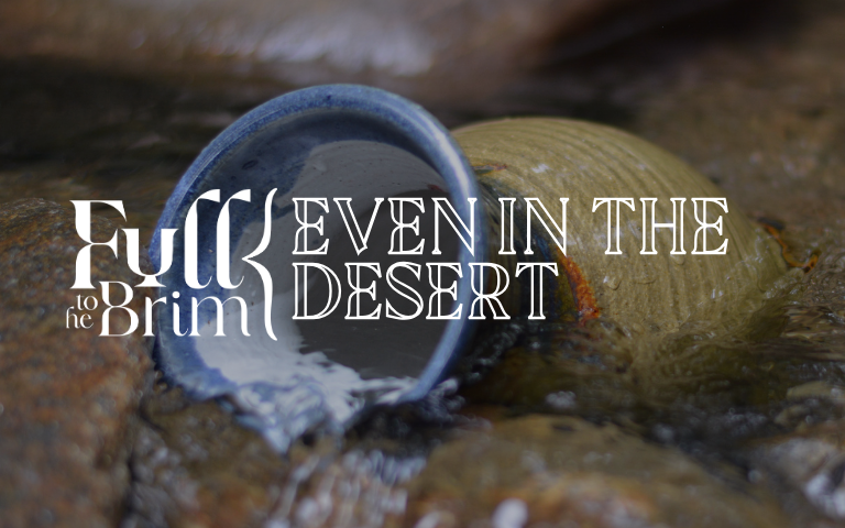 Lent 2025: Even in the Desert