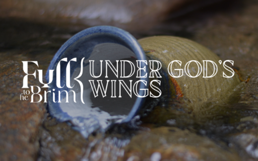 Lent 2025: Under God’s Wings
