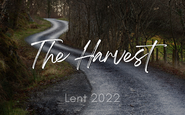 Lent 2022: The Harvest