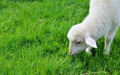 Faith Stories: A Letter to Our Children